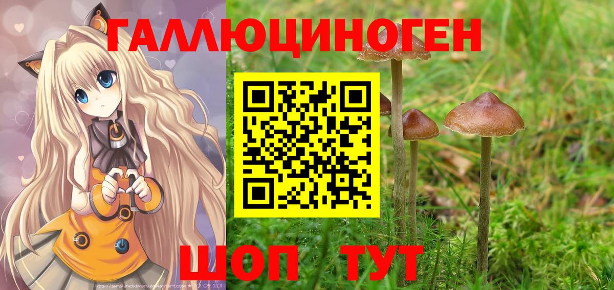 Псилоцибиновые грибы Magic Shrooms  Вход с VPN  Краснодар 