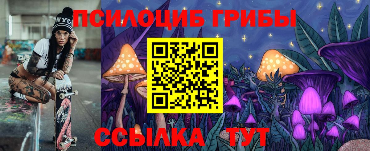 Галлюциногенные грибы Psilocybine cubensis Краснодар